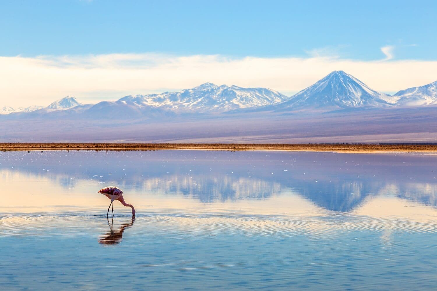 Deserto do Atacama - Chile