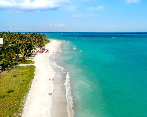 O que fazer em Maragogi: praias e piscinas naturais