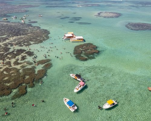 Tábua de Marés | Como ler e aproveitar o melhor das piscinas naturais no Nordeste