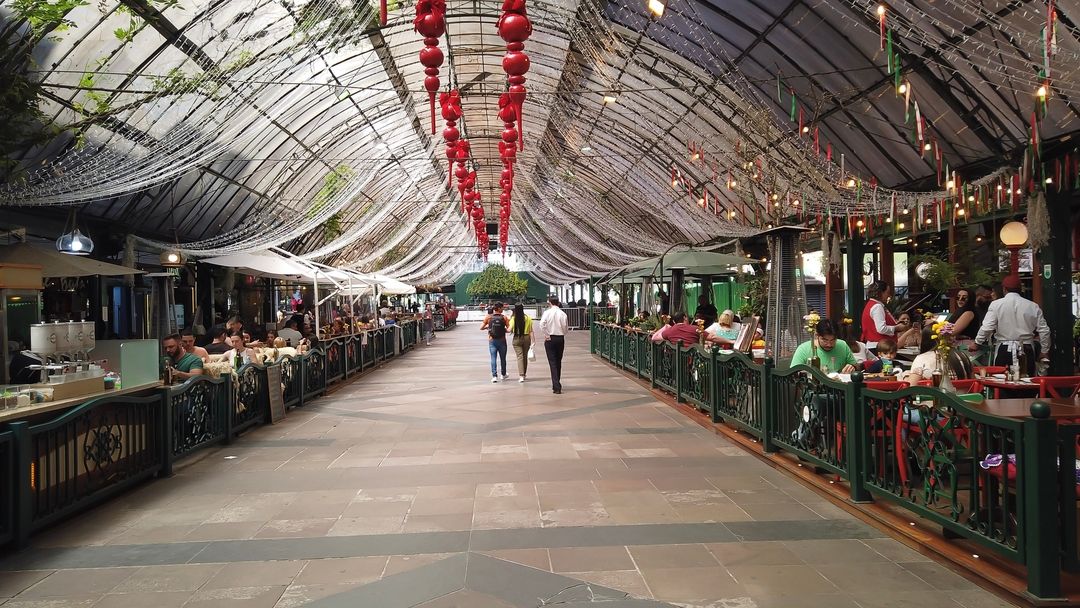 Roteiro de 3 a 7 dias em Gramado: Um guia completo 