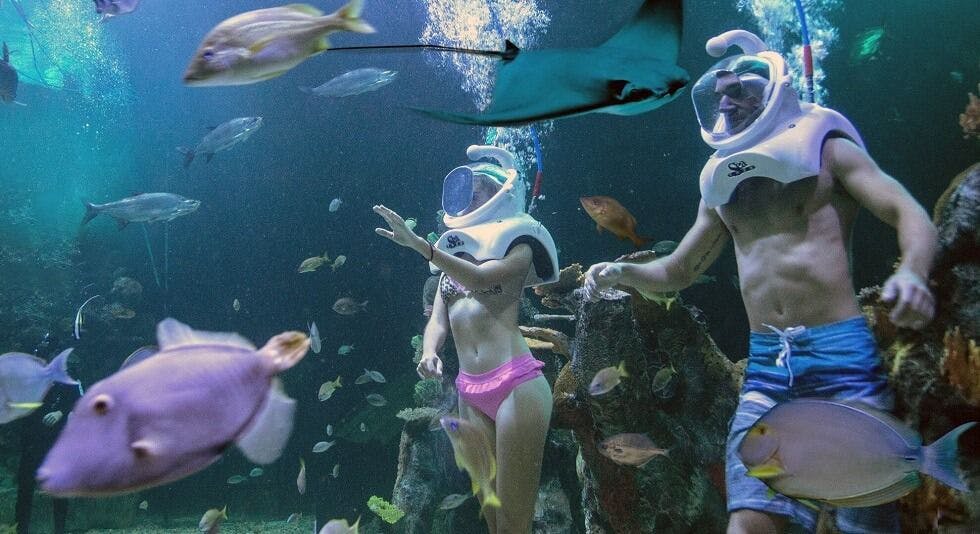 Aquario de Cancun - Cancun- México