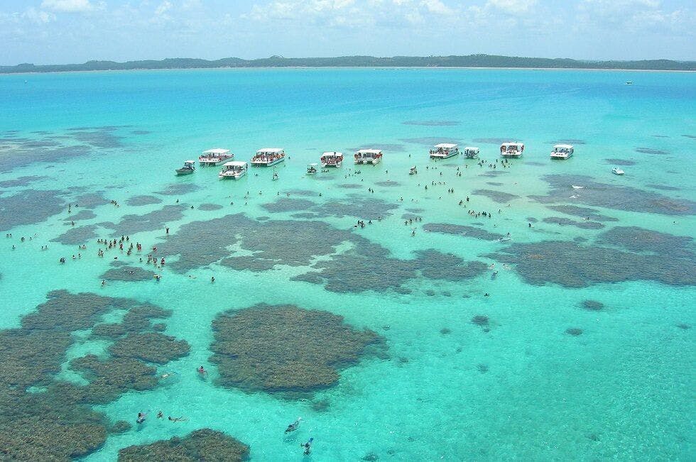 Corais - piscinas naturais - Maceio- Alagoas